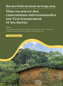 Mise en oeuvre des conventions internationales sur l’environnement et les forêts